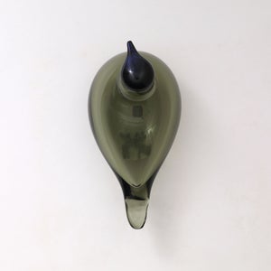 Birds Chiffchaff パイングリーン 0081