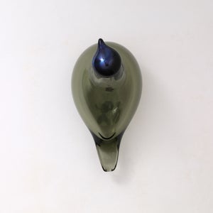 Birds Chiffchaff パイングリーン 0083