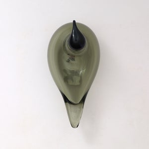 Birds Chiffchaff パイングリーン 0084