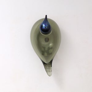 Birds Chiffchaff パイングリーン 0093