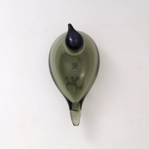 Birds Chiffchaff パイングリーン 0096