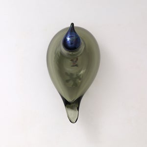 Birds Chiffchaff パイングリーン 0097