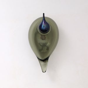 Birds Chiffchaff パイングリーン 0101