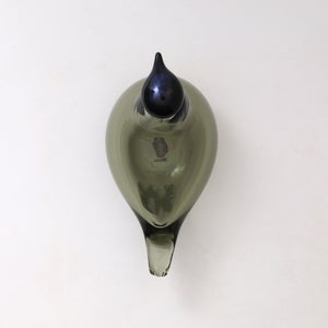 Birds Chiffchaff パイングリーン 0117