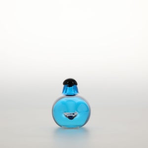 Birds Chiffchaff ターコイズ 0005