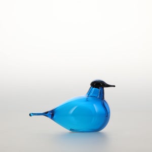 Birds Chiffchaff ターコイズ 0011