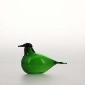 Birds Chiffchaff グリーン 0031