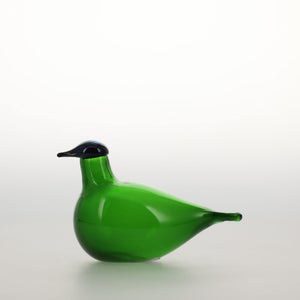 Birds Chiffchaff グリーン 0089