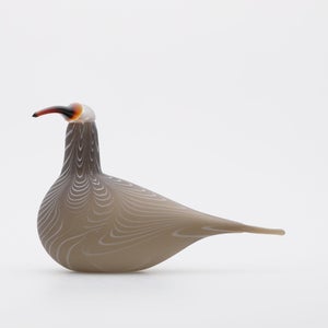 Birds Curlew サンド 0002