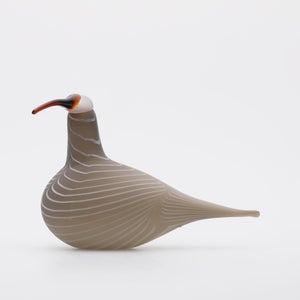 Birds Curlew サンド 0009