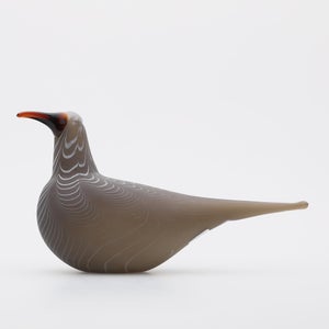 Birds Curlew サンド 0015