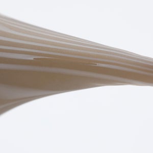 Birds Curlew サンド 0007