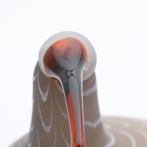 Birds Curlew サンド 0009