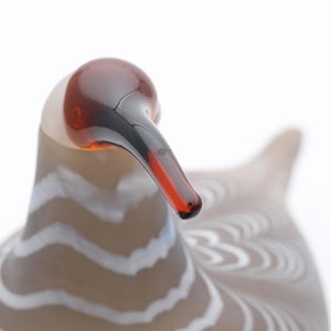 Birds Curlew サンド 0011