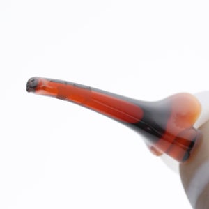 Birds Curlew サンド 0013