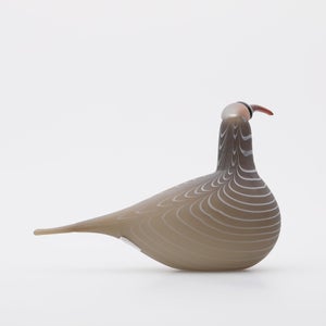 Birds Curlew サンド 0002