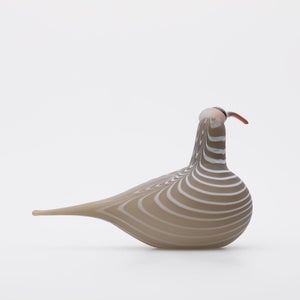 Birds Curlew サンド 0006