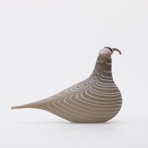 Birds Curlew サンド 0007