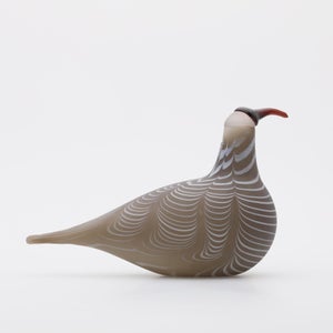 Birds Curlew サンド 0011