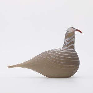 Birds Curlew サンド 0012