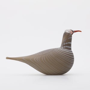 Birds Curlew サンド 0013