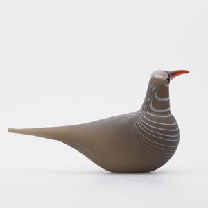 Birds Curlew サンド 0015