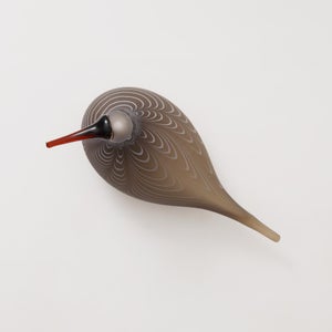 Birds Curlew サンド 0002