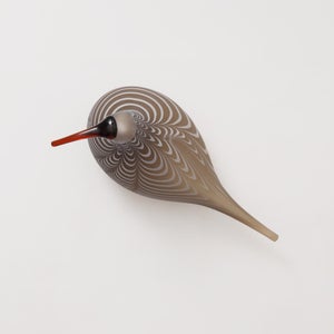 Birds Curlew サンド 0006