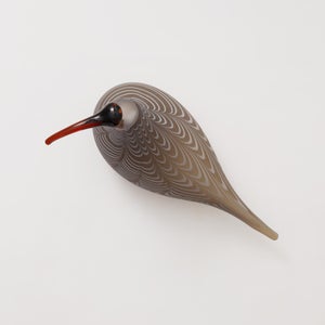 Birds Curlew サンド 0007