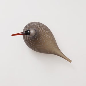 Birds Curlew サンド 0009