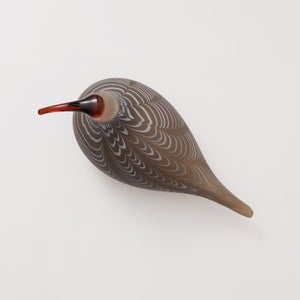 Birds Curlew サンド 0011
