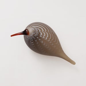 Birds Curlew サンド 0012