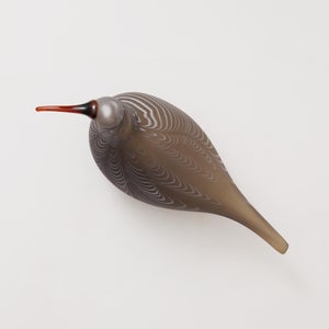 Birds Curlew サンド 0013