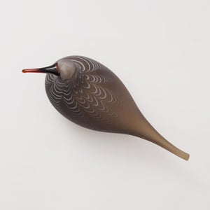 Birds Curlew サンド 0015