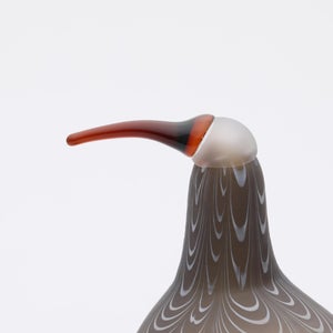 Birds Curlew サンド 0002