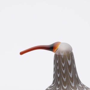 Birds Curlew サンド 0006