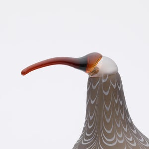 Birds Curlew サンド 0007
