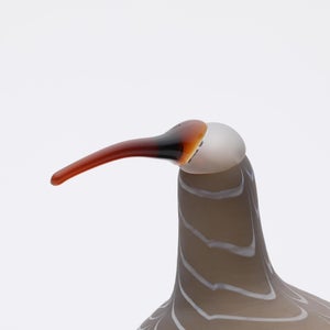 Birds Curlew サンド 0009