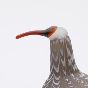 Birds Curlew サンド 0012