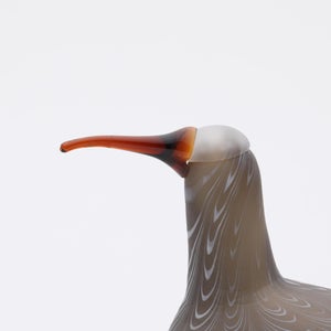 Birds Curlew サンド 0013