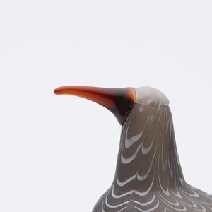 Birds Curlew サンド 0015