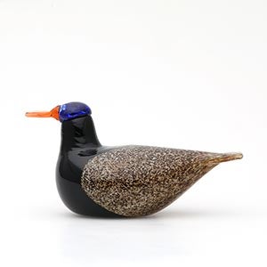 Birds Duck ブラウン 0042