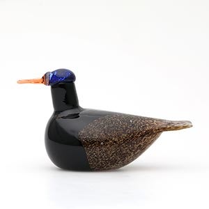 Birds Duck ブラウン 0047