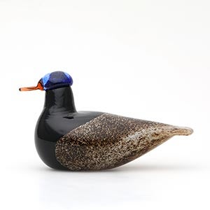 Birds Duck ブラウン 0048