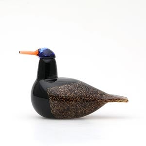 Birds Duck ブラウン 0049