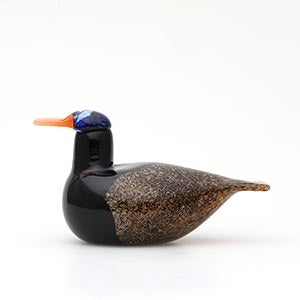 Birds Duck ブラウン 0052