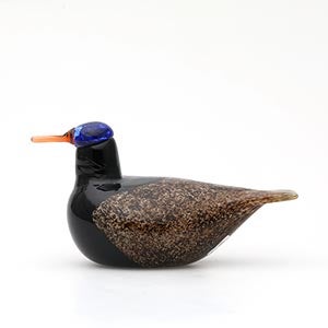 Birds Duck ブラウン 0059