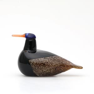 Birds Duck ブラウン 0063