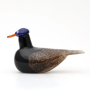 Birds Duck ブラウン 0067