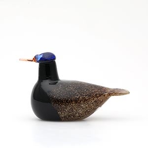 Birds Duck ブラウン 0070